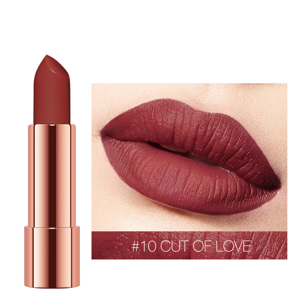 VelvetGlow Moisturizing Matte Lipstick